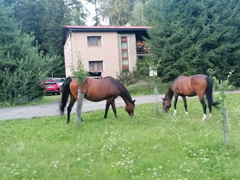 Horska Chata Ziaranka Liptovský Mikuláš Buitenkant foto